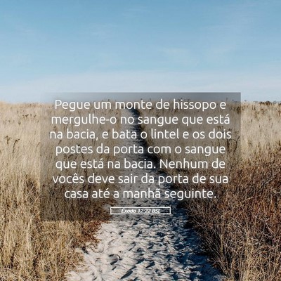 Picture 05 - Êxodo 12:22 BSL - Pegue um monte de hissopo e mergulhe-o no sangue - Bible Verse Picture
