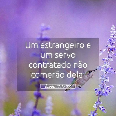 Picture 05 - Êxodo 12:45 BSL - Um estrangeiro e um servo contratado não - Bible Verse Picture