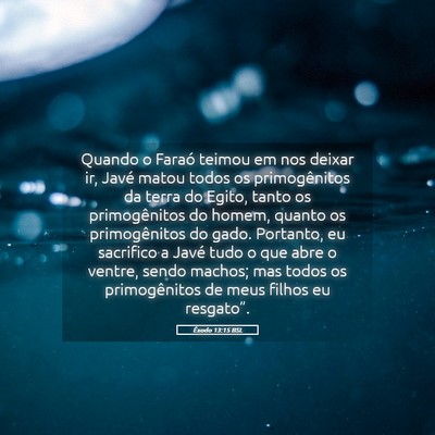 Picture 05 - Êxodo 13:15 BSL - Quando o Faraó teimou em nos deixar ir, Javé - Bible Verse Picture