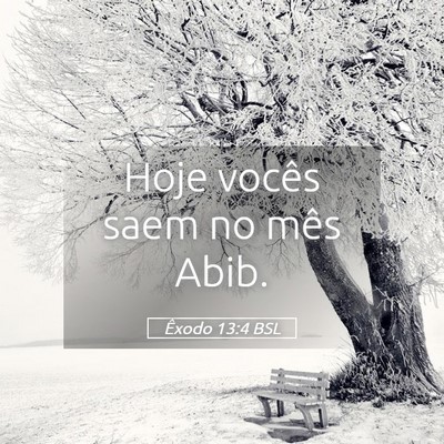 Picture 05 - Êxodo 13:4 BSL - Hoje vocês saem no mês - Bible Verse Picture