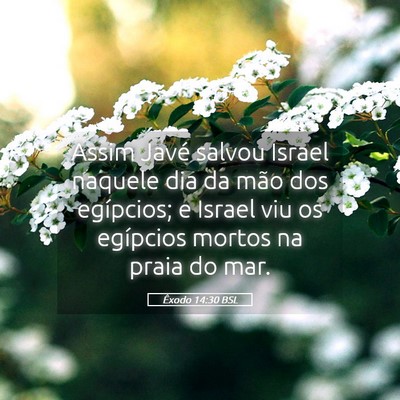 Picture 05 - Êxodo 14:30 BSL - Assim Javé salvou Israel naquele dia da mão dos - Bible Verse Picture