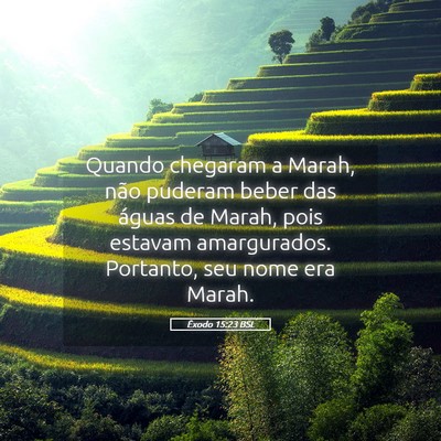 Picture 05 - Êxodo 15:23 BSL - Quando chegaram a Marah, não puderam beber das - Bible Verse Picture