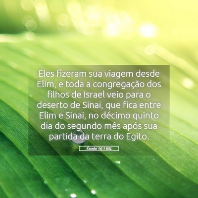 Picture 05 - Êxodo 16:1 BSL - Eles fizeram sua viagem desde Elim, e toda a - Bible Verse Picture
