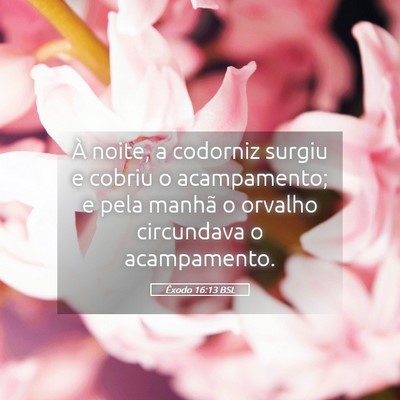 Picture 05 - Êxodo 16:13 BSL - À noite, a codorniz surgiu e cobriu o - Bible Verse Picture