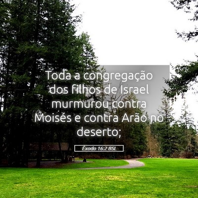 Picture 05 - Êxodo 16:2 BSL - Toda a congregação dos filhos de Israel - Bible Verse Picture