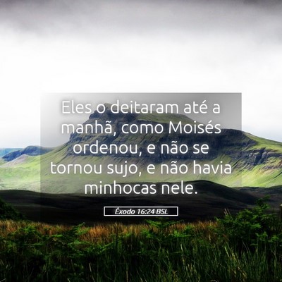 Picture 05 - Êxodo 16:24 BSL - Eles o deitaram até a manhã, como Moisés - Bible Verse Picture