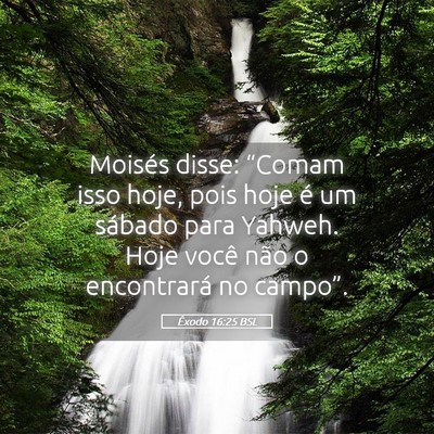 Picture 05 - Êxodo 16:25 BSL - Moisés disse: “Comam isso hoje, pois hoje é - Bible Verse Picture