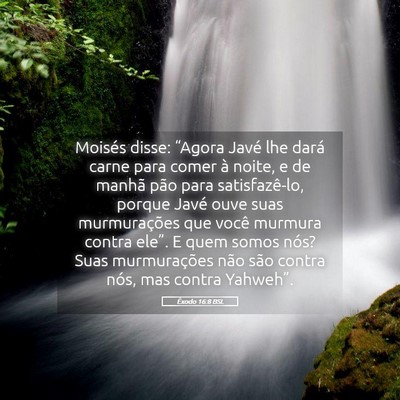 Picture 05 - Êxodo 16:8 BSL - Moisés disse: “Agora Javé lhe dará carne - Bible Verse Picture