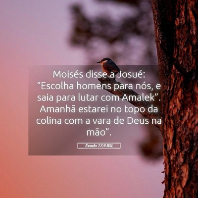 Picture 05 - Êxodo 17:9 BSL - Moisés disse a Josué: “Escolha homens para - Bible Verse Picture