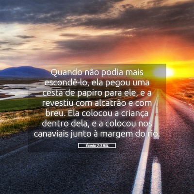 Picture 05 - Êxodo 2:3 BSL - Quando não podia mais escondê-lo, ela pegou uma - Bible Verse Picture