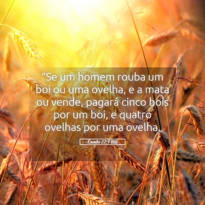Picture 05 - Êxodo 22:1 BSL - “Se um homem rouba um boi ou uma ovelha, e a - Bible Verse Picture