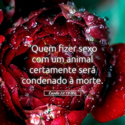Picture 05 - Êxodo 22:19 BSL - “Quem fizer sexo com um animal certamente será - Bible Verse Picture