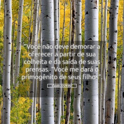 Picture 05 - Êxodo 22:29 BSL - “Você não deve demorar a oferecer a partir de - Bible Verse Picture