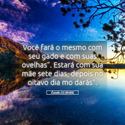 Picture 05 - Êxodo 22:30 BSL - Você fará o mesmo com seu gado e com suas - Bible Verse Picture