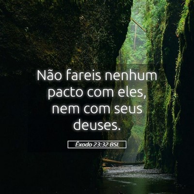 Picture 05 - Êxodo 23:32 BSL - Não fareis nenhum pacto com eles, nem com seus - Bible Verse Picture