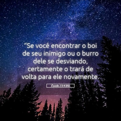 Picture 05 - Êxodo 23:4 BSL - “Se você encontrar o boi de seu inimigo ou o - Bible Verse Picture