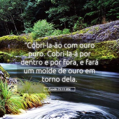 Picture 05 - Êxodo 25:11 BSL - “Cobri-la-ão com ouro puro. Cobri-la-á por - Bible Verse Picture
