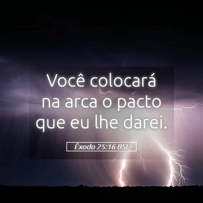 Picture 05 - Êxodo 25:16 BSL - Você colocará na arca o pacto que eu lhe - Bible Verse Picture