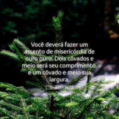 Picture 05 - Êxodo 25:17 BSL - Você deverá fazer um assento de misericórdia - Bible Verse Picture