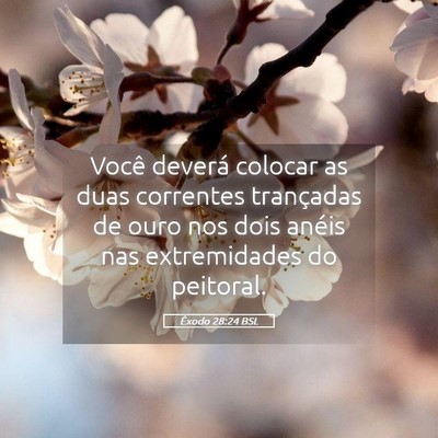 Picture 05 - Êxodo 28:24 BSL - Você deverá colocar as duas correntes - Bible Verse Picture