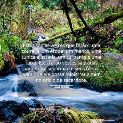 Picture 05 - Êxodo 28:4 BSL - Estas são as vestes que farão: uma couraça, um - Bible Verse Picture