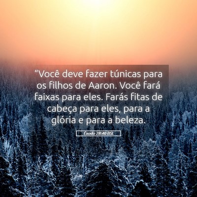 Picture 05 - Êxodo 28:40 BSL - “Você deve fazer túnicas para os filhos de - Bible Verse Picture
