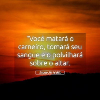 Picture 05 - Êxodo 29:16 BSL - “Você matará o carneiro, tomará seu sangue e - Bible Verse Picture
