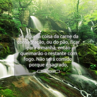 Picture 05 - Êxodo 29:34 BSL - Se alguma coisa da carne da consagração, ou do - Bible Verse Picture