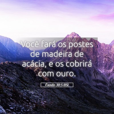 Picture 05 - Êxodo 30:5 BSL - Você fará os postes de madeira de acácia, e os - Bible Verse Picture