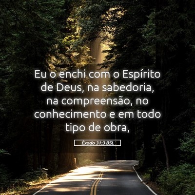 Picture 05 - Êxodo 31:3 BSL - Eu o enchi com o Espírito de Deus, na sabedoria, - Bible Verse Picture