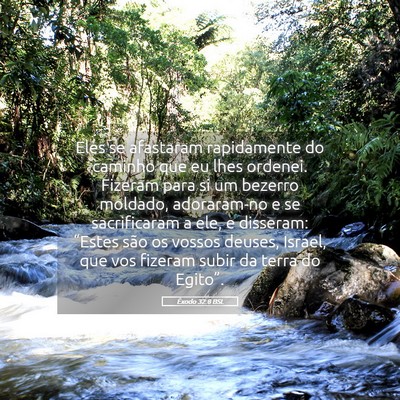 Picture 05 - Êxodo 32:8 BSL - Eles se afastaram rapidamente do caminho que eu - Bible Verse Picture