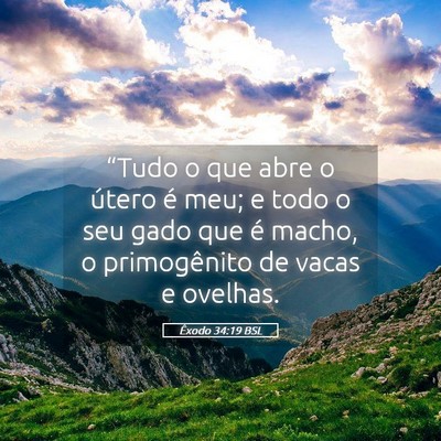Picture 05 - Êxodo 34:19 BSL - “Tudo o que abre o útero é meu; e todo o seu - Bible Verse Picture
