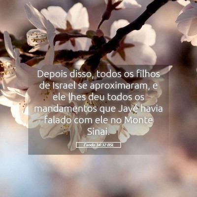 Picture 05 - Êxodo 34:32 BSL - Depois disso, todos os filhos de Israel se - Bible Verse Picture