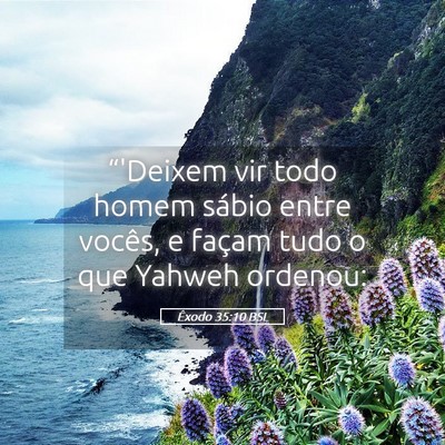 Picture 05 - Êxodo 35:10 BSL - “'Deixem vir todo homem sábio entre vocês, e - Bible Verse Picture