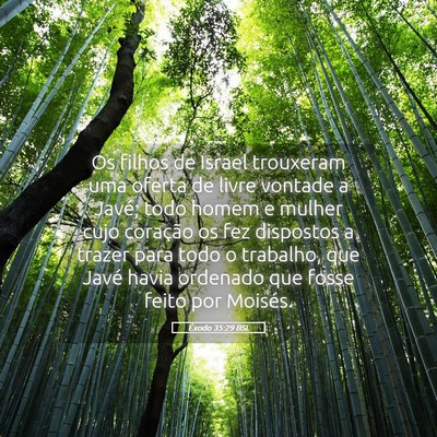 Picture 05 - Êxodo 35:29 BSL - Os filhos de Israel trouxeram uma oferta de livre - Bible Verse Picture