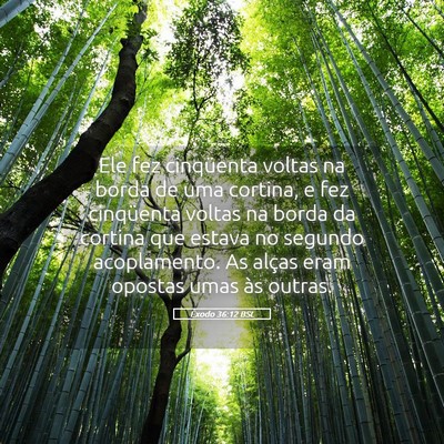 Picture 05 - Êxodo 36:12 BSL - Ele fez cinqüenta voltas na borda de uma - Bible Verse Picture