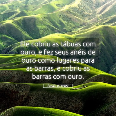 Picture 05 - Êxodo 36:34 BSL - Ele cobriu as tábuas com ouro, e fez seus anéis - Bible Verse Picture