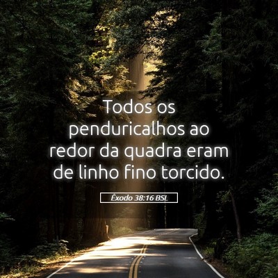Picture 05 - Êxodo 38:16 BSL - Todos os penduricalhos ao redor da quadra eram de - Bible Verse Picture