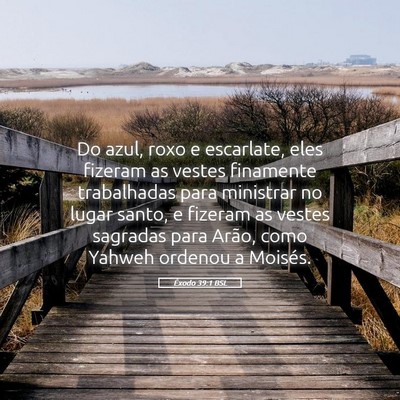Picture 05 - Êxodo 39:1 BSL - Do azul, roxo e escarlate, eles fizeram as vestes - Bible Verse Picture