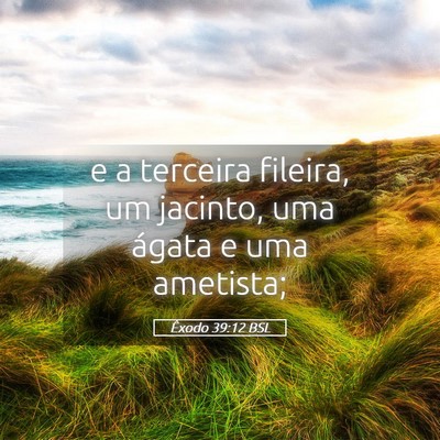 Picture 05 - Êxodo 39:12 BSL - e a terceira fileira, um jacinto, uma ágata e - Bible Verse Picture