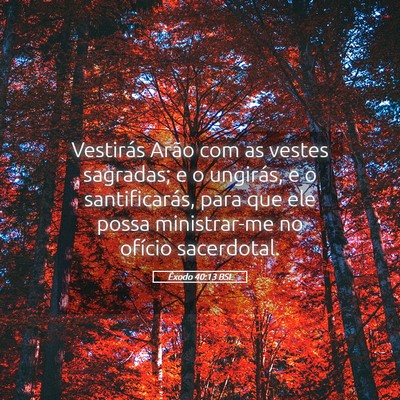 Picture 05 - Êxodo 40:13 BSL - Vestirás Arão com as vestes sagradas; e o - Bible Verse Picture