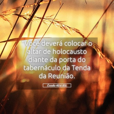 Picture 05 - Êxodo 40:6 BSL - “Você deverá colocar o altar de holocausto - Bible Verse Picture