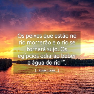 Picture 05 - Êxodo 7:18 BSL - Os peixes que estão no rio morrerão e o rio se - Bible Verse Picture