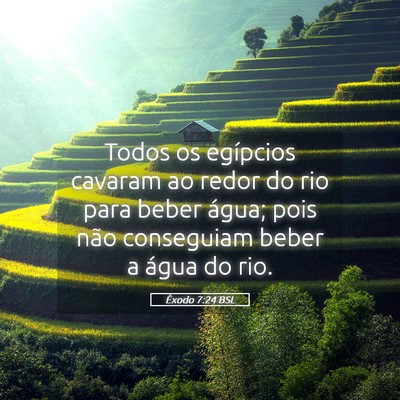 Picture 05 - Êxodo 7:24 BSL - Todos os egípcios cavaram ao redor do rio para - Bible Verse Picture