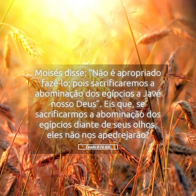 Picture 05 - Êxodo 8:26 BSL - Moisés disse: “Não é apropriado fazê-lo; - Bible Verse Picture