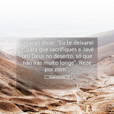 Picture 05 - Êxodo 8:28 BSL - O Faraó disse: “Eu te deixarei ir, para que - Bible Verse Picture