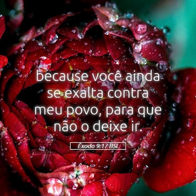 Picture 05 - Êxodo 9:17 BSL - because você ainda se exalta contra meu povo, - Bible Verse Picture