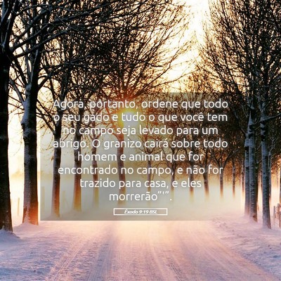 Picture 05 - Êxodo 9:19 BSL - Agora, portanto, ordene que todo o seu gado e - Bible Verse Picture