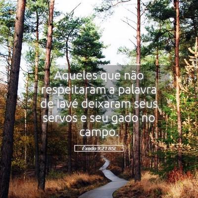 Picture 05 - Êxodo 9:21 BSL - Aqueles que não respeitaram a palavra de Iavé - Bible Verse Picture