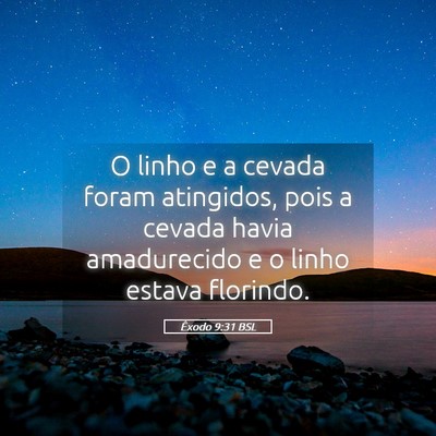 Picture 05 - Êxodo 9:31 BSL - O linho e a cevada foram atingidos, pois a cevada - Bible Verse Picture